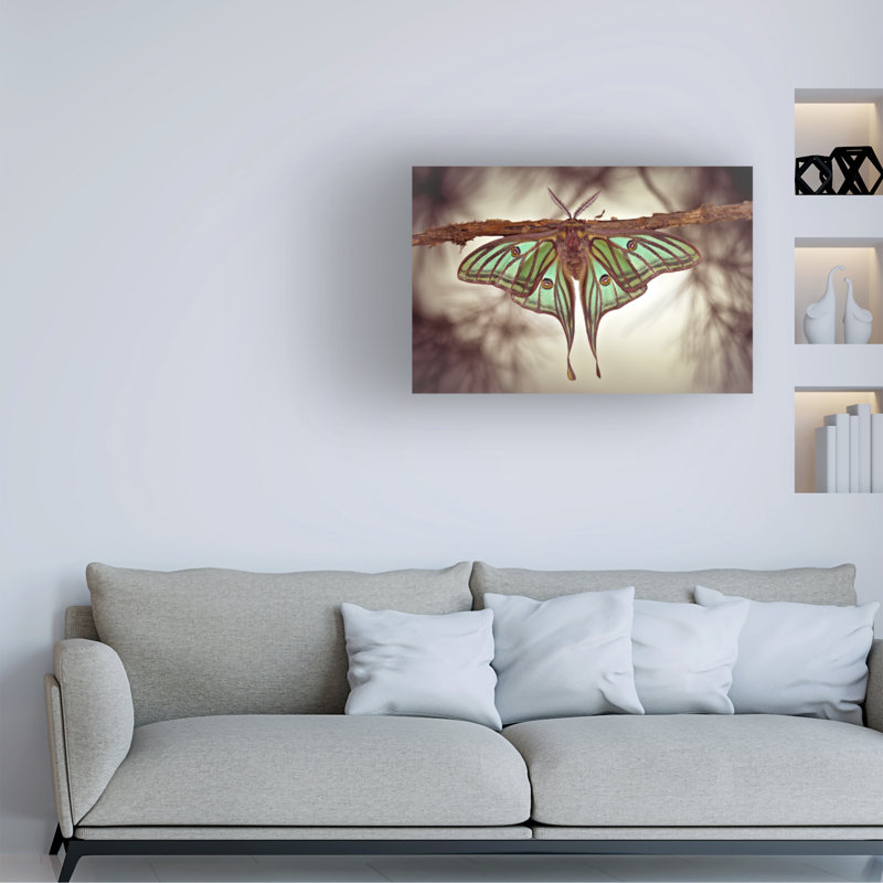 Œuvre d'art sur toile, Jimmy Hoffman, H 16 po x l 24 po