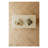 Accent Chest