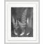 Fernspiration Gray 6' Framed Graphic Art Print on Glass