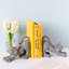Serre-livres fantaisiste et souriant-1156917410