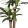 51.57'' Faux Corn Plant in Planter