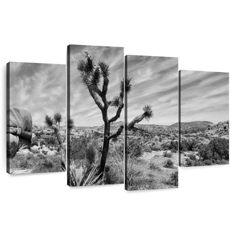 Harnek Desert Joshua Tree, H 32 po x l 52 po