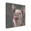 «Teri the Christmas Pig», reproduction d'art sur toile tendue-27491604