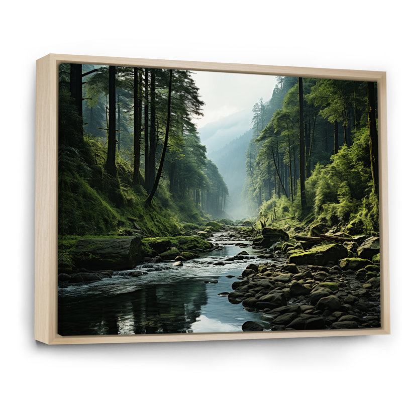 «Mystic Wilderness Pine Forest In Canada V», reproduction sur toile, Cadre naturel flottant, 30" H x 40" W