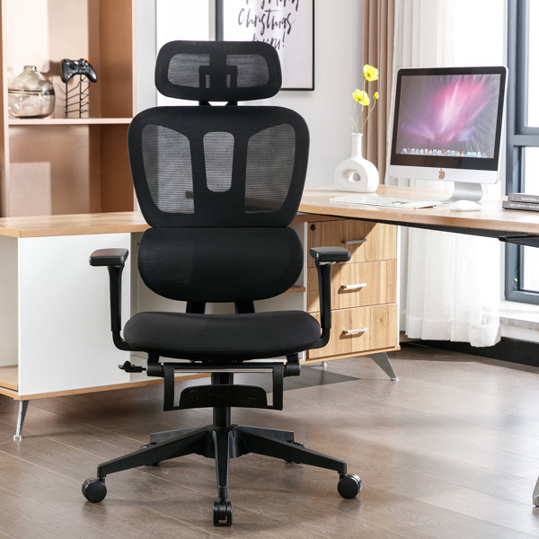 Inbox Zero Latashia Ergonomic Office Chair Mesh Big and Tall