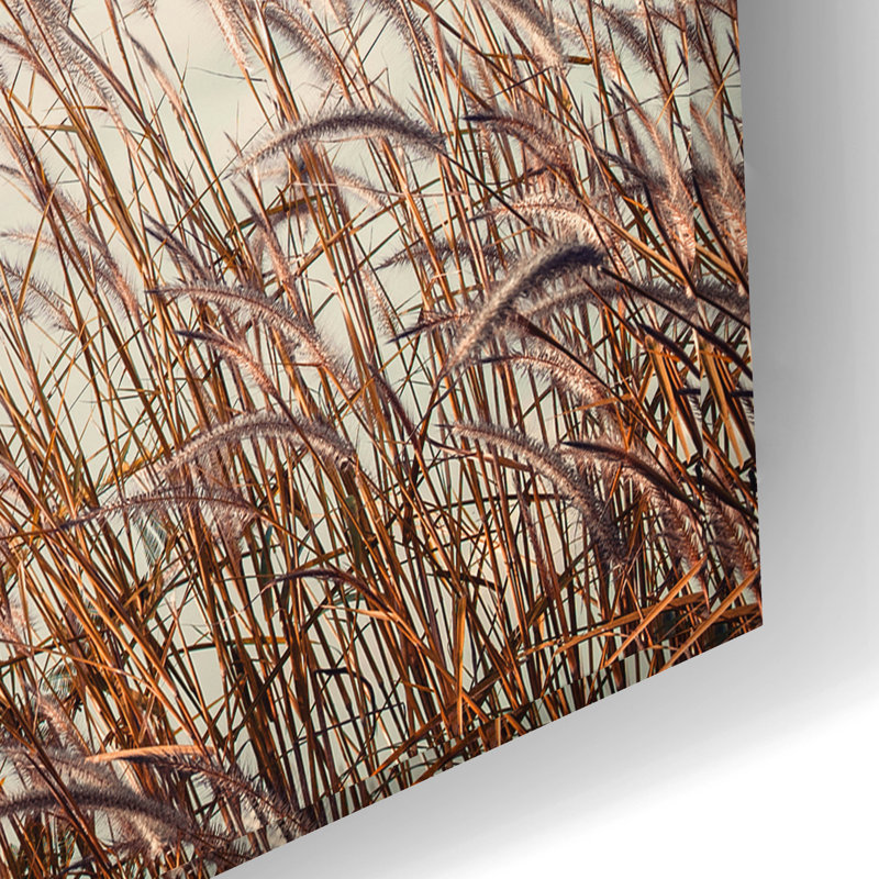«Retro Grass» par Photoinc Studio, art en verre acrylique Wal, H 16 po x l 24 po x P 0,2 po