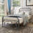 Eshe Metal Open-Frame Bed-255311515-255311493