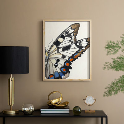«ANIMALS Series CECXLIX»
