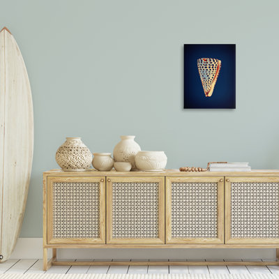 Art mural coquillage sur toile bleue  par Graffi *ee Studios