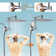 10 Inch All Metal Multi Function Dual Shower Head
