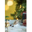 Ornement en forme d'arbre de Noël à suspendre 2 x 2 x 3,3 po, décorations en verre pour décorations de fêtes, lot de 6