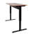 Westendorf Adjustable Metal Base Standing Desk-2117190112