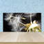 Lolethia 50cm W x 100cm L Glass Peel and Stick Panel