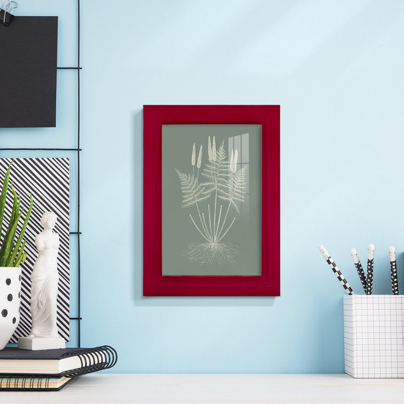 Ferns On Sage VII, encadré sur papier, Rouge, H 6 po x l 4 po x P 1 po