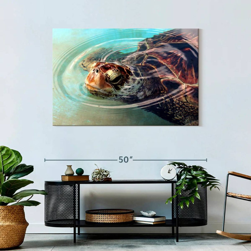 Brampt Peaking Turtle, 30" H x 45" W