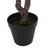 300CMARTIFICIAL DISC LEAF TREE