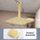 Rain Fixed Shower Head