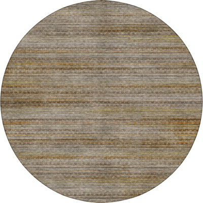 Premium Machine Washable Tirico Casual Rug