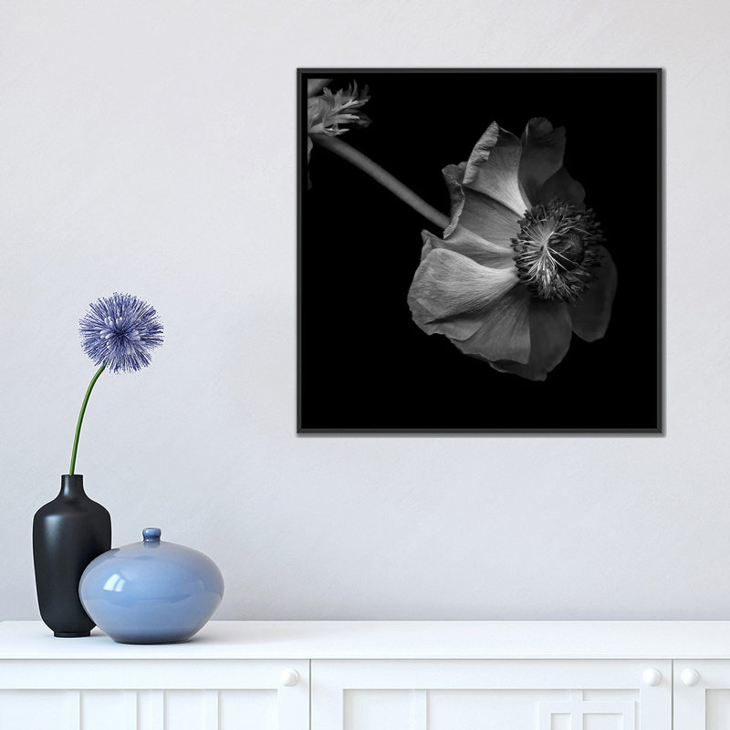 « anemone, b&w » par magda indigo, impression sur toile, H 18 po x l 18 po x P 1,5 po, Pas de tapis, Toile tendue