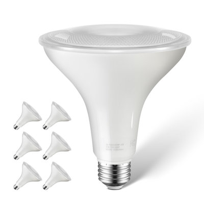 PAR38, ampoule à DEL d'extérieur à intensité variable, 1050 lumens, paquet de 6, intensité variable 5000K