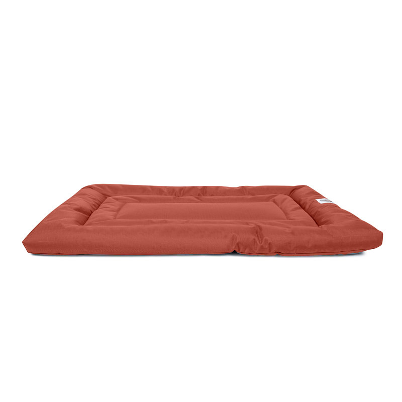Coussin confortable Brutus Tough Resistant, Moyen (l 36 po x P 23 po x H 2 po), Rouge