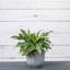 Ensemble de pots à fleurs 3 pièces-516122976