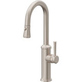 Davoli Pull-Down Prep/Bar Faucet with Button Sprayer