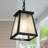 Vendramin Outdoor Hanging Lantern