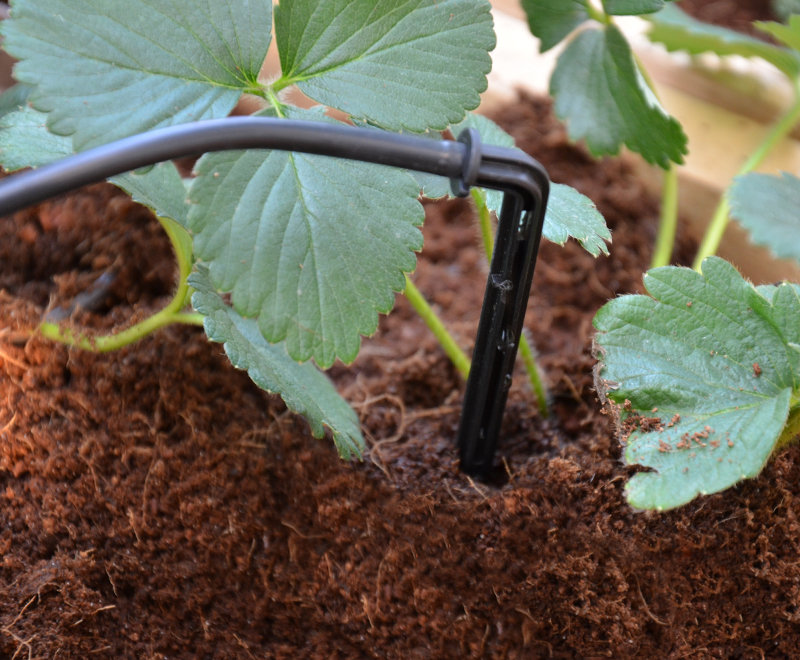 Drip Irrigation Kit