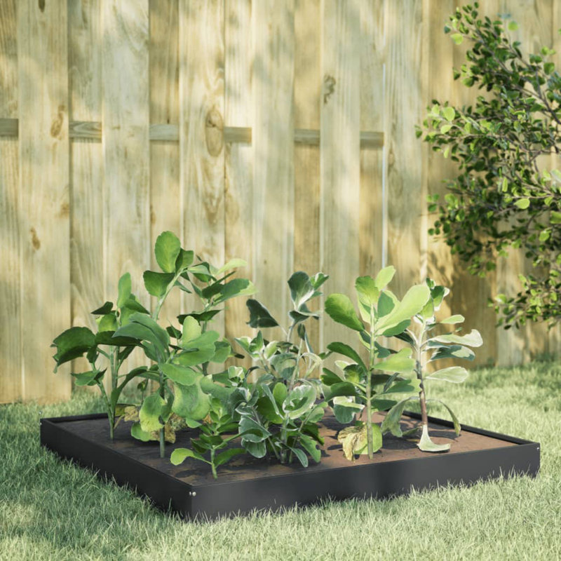 Caylub Metal Raised Garden Bed, Anthracite, 18.5cm H x 100cm W x 100cm D