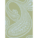 Rajapur Paisley Wallpaper Roll