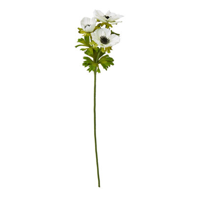 Anastasija Arrangement