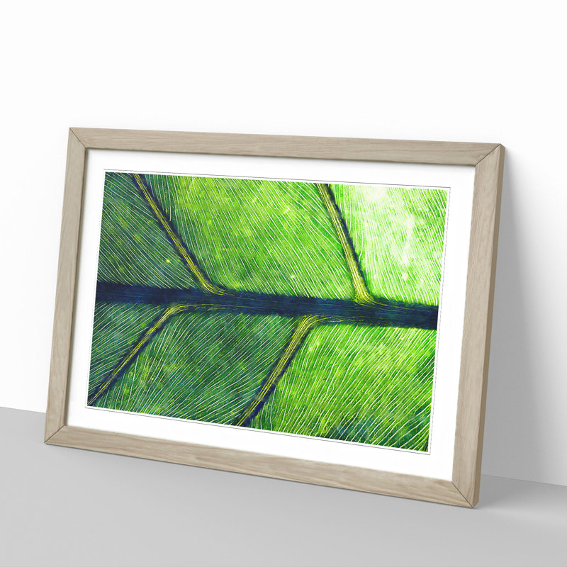Leaf Detail - Picture Frame Painting, 48cm H x 65cm W x 2cm D, Oak Framed