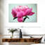Fleur de pivoine Harnek-107680363