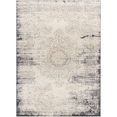 Amandeep Oriental Indoor Rug