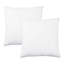 Insert de coussin Wayfair Basics® Didomenico-689272263