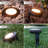 Seasons Bronze Plug-in Integrated LED Pathway Light