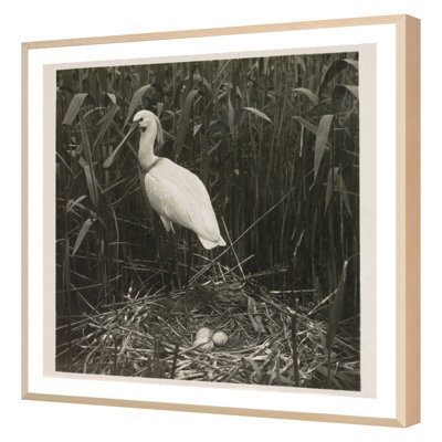 Coastal Birds 2 Print by THE Studio
