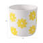 Sagebrook Home 6" Flower Power Planter, Black/White-1888640659