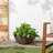 Musselwhite Pot Planter-65035980