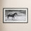 Galloping Horse Canvas Print