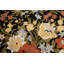 Tapis oriental en laine et soie à motif végétal noué à la main 5 pi 9 po x 8 pi 2 po