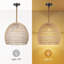 Repton Single Pendant Lamp 1-Light-1668209292