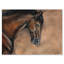 Portrait d'un cheval brun - peinture sur toile-59757021-59783262