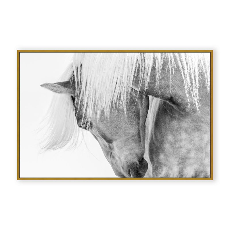 Nature Inspired Halflinger Portrait by  - Picture Frame Photograph on Paper, 24" H x 36" W x 1.125" D, Black