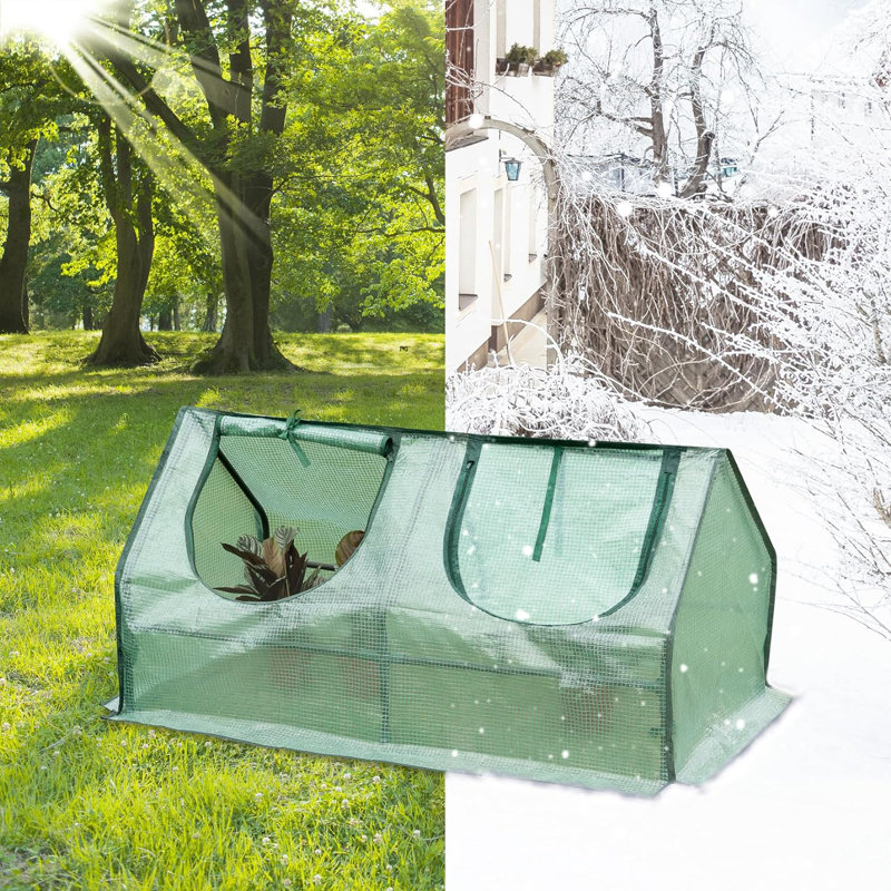 Boncile 4 Ft W x 2 Ft D Mini Greenhouse, Green
