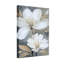 Ensemble de 1 tableau sur toile tendue représentant des fleurs de magnolia blanc-52825890