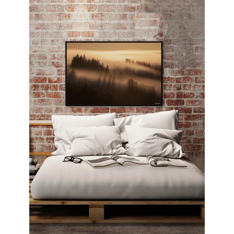 «Forest Shadows», reproduction encadrée, Cadre flottant noir, L 18 po x H 12 po