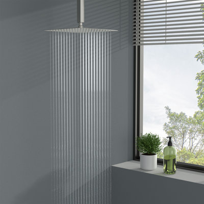 Rain Adjustable Shower Head 1.8 GPM GPM with Self-Cleaning