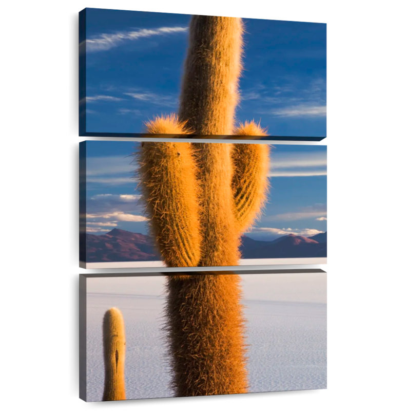 Cactus Alvord Isla Incahuasi, H 32 po x l 20 po